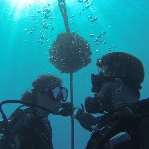 Meet your Posher, Kirstie